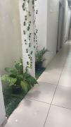 Top Pirapora