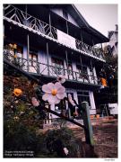 Rishop - Zivaan Stay