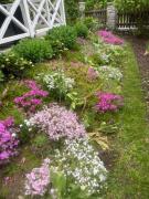 Top Karpacz Top Karpacz