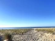 Top Lège-Cap-Ferret