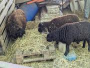 Top Sainte-Radegonde