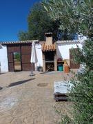 Top Pétrola Top Pétrola