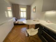 Modern Apartments Letna