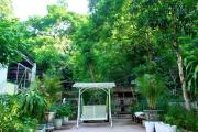 Top Phong Nha
