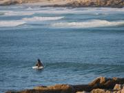 Seafront Villa - Whale Bay Luxury Retreat