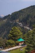 Kufri Heritage Resort & Spa