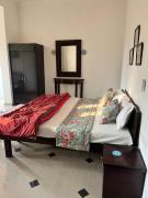 Top Jaipur