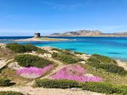 Hotel in Stintino just 50 mt from the sea