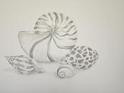 Top Marinella di Sarzana