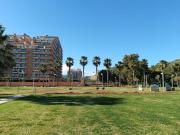 Top El Borseral
