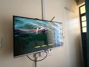 Top Rungiri Top Rungiri