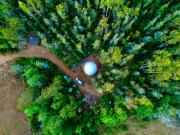 Domo con opcion a tinaja en medio del bosque