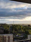 Top Temuco Top Temuco