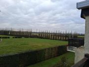 Top Merville-Franceville-Plage