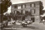 Top Savignano sul Panaro