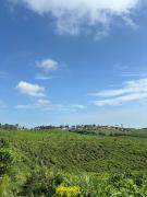 Top Ciater