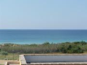 COMODO APPARTAMENTO A 50 MT DALLA SPIAGGIA DI PESCOLUSE