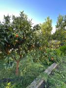 Top Fornos de Algodres