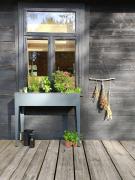 Top Chełsty Top Chełsty