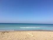 Top Brindisi