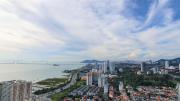 Top Jelutong