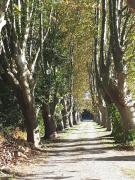 Top Salon-de-Provence