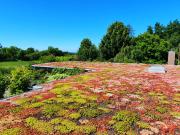 Ferienwohnung Hafenblick Ferienhof Geltinger Bucht