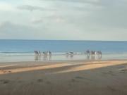 Top Courseulles-sur-Mer