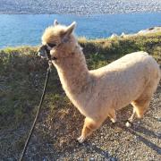 Bed and Breakfast MON AMOUR