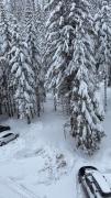 Top Pamporovo