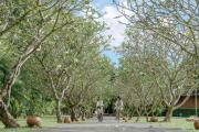 Top Mai Khao Beach