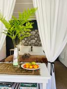 Agapanthus garden cottage