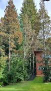 Top Bariloche