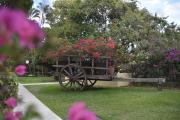 Hotel Mirador Plaza