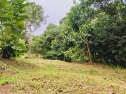 Top San José Del Guaviare