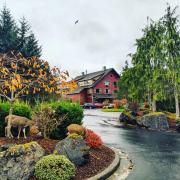 Top Ketchikan