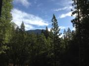 Grants Camp
