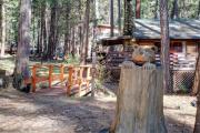 Top Wawona