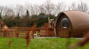 Hidden Acres- Luxury Glamping Pod