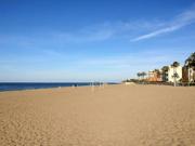 Jardines de Denia by Aguilarent