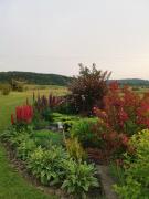 Top Uherce Mineralne