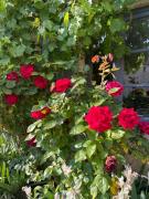 Top Saincaize-Meauce