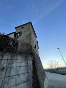 Top Cellino Attanasio