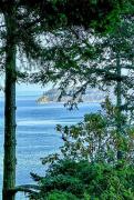 Top Sequim