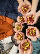 Top Sahuayacu Top Sahuayacu