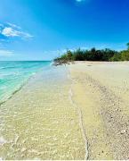 Top Cape Coral