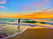 Top Cape Coral