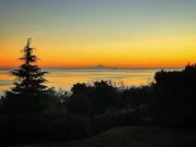Top Port Angeles
