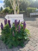Birch Valley Accommodation Tinahely Wicklow Ireland