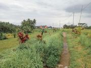 Maha House Mid of Ricefields